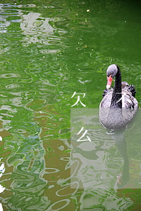 欠錢不還法院強制執(zhí)行流程是什么