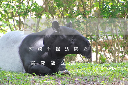 欠錢不還法院立案可以住酒店嗎(欠賓館多少房費能立案?)