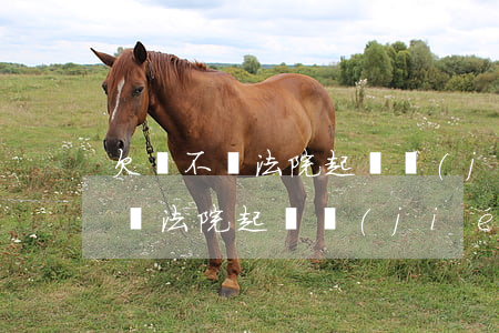 欠錢不還法院起訴結(jié)果-欠錢不還法院起訴結(jié)果