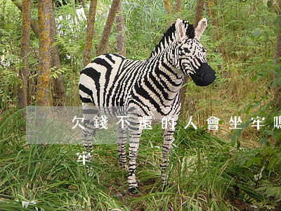 欠錢不還的人會坐牢嗎(欠錢不還會坐多久的牢)