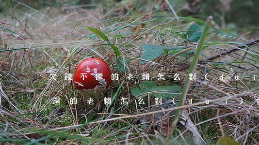 欠錢不還的老賴怎么對(duì)付(欠錢不還的老賴怎么對(duì)付有證據(jù))