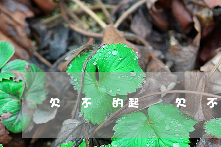 欠錢不還的起訴書(欠錢不還起訴狀)