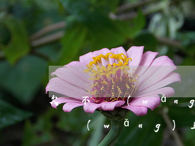 欠錢不還網(wǎng)上起訴流程(欠錢不還網(wǎng)上起訴流程怎么走)