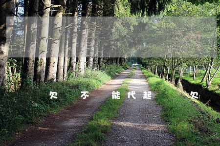 欠錢不還能代起訴嗎(欠錢不還起訴可以代辦嗎)