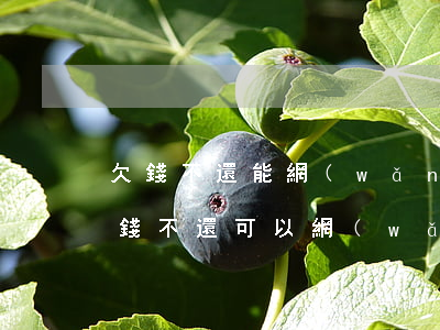 欠錢不還能網(wǎng)上起訴嗎(朋友欠錢不還可以網(wǎng)上起訴嗎)