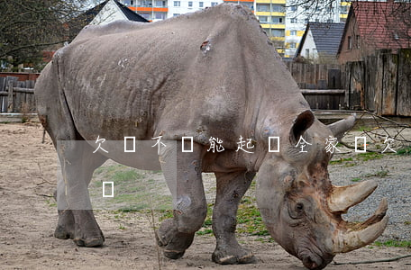 欠錢不還能起訴全家嗎(欠錢不還能起訴全家嗎)
