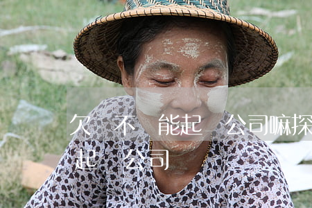 欠錢不還能起訴公司嘛，探討欠錢不還是否能起訴公司