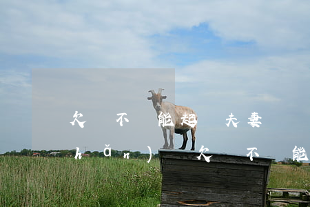 欠錢不還能起訴夫妻倆財(cái)產(chǎn)嗎（欠錢不還能起訴夫妻倆）