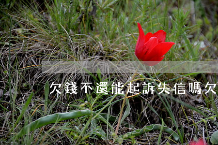 欠錢不還能起訴失信嗎(欠錢不還能不能起訴)