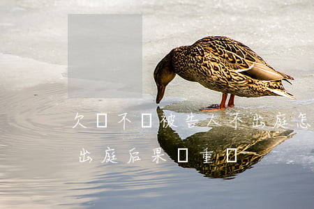 欠錢不還被告人不出庭怎么辦(欠錢的被告不出庭后果嚴重嗎)