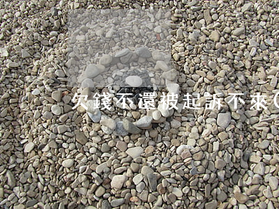 欠錢不還被起訴不來(lái)