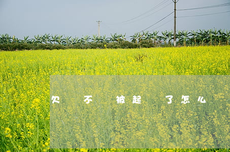 欠錢不還被起訴了怎么辦
