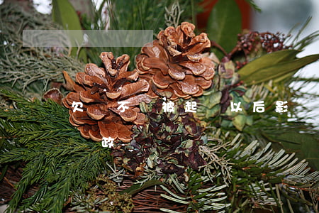 欠錢不還被起訴以后影響政審嗎(被起訴了影響政審嗎)
