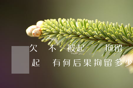 欠錢不還被起訴會拘留嗎(欠別人錢還不上被起訴有何后果拘留多少天)