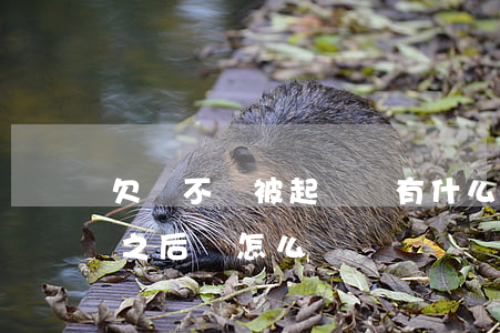 欠錢不還被起訴會有什么后果(欠錢不還起訴之后會怎么樣)