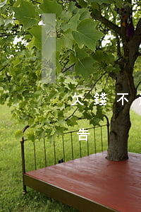 欠錢不還要到哪里起訴(欠錢不還要到哪里去告)