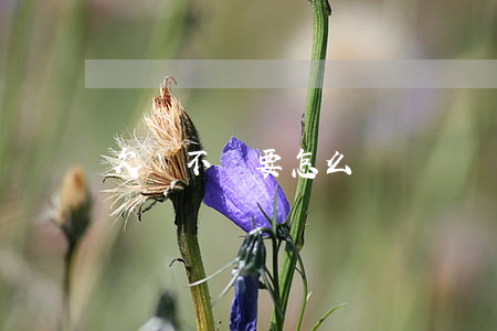 欠錢不還要怎么辦
