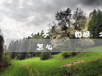 欠錢不還訴狀如何寫才能立案(欠錢不還訴訟書怎么寫)