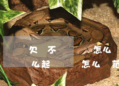 欠錢不還訴狀書怎么寫有范本嗎(欠錢不還怎么起訴訴狀怎么寫 范文)