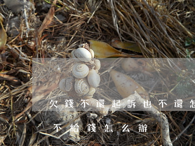 欠錢不還起訴也不還怎么辦（欠錢不還起訴也不給錢怎么辦）