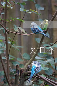 欠錢不還起訴什么流程(欠錢不還起訴什么流程)