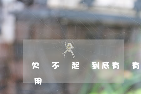欠錢不還起訴到底有沒有用（欠錢不還起訴有用沒）
