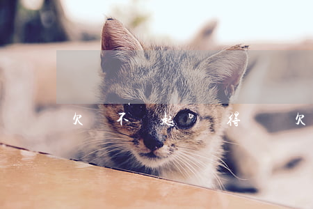 欠錢不還起訴劃得來嗎(欠錢不還起訴能要回來嗎?)