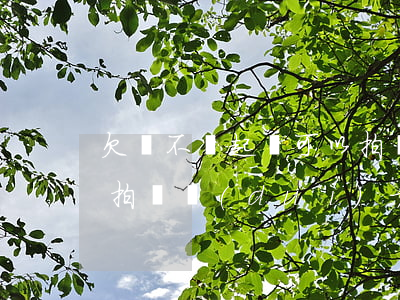 欠錢不還起訴可以拍賣-欠錢不還起訴可以拍賣對(duì)方父親房產(chǎn)嗎