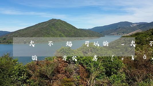 欠錢不還起訴可以拍賣-欠錢不還起訴可以拍賣對方父親房產(chǎn)嗎