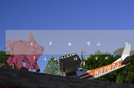 欠錢不還起訴可以讓對方信用(欠錢不還起訴了以后對信用有影響嗎)