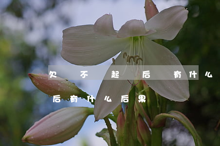 欠錢不還起訴后會有什么后果(欠款不還起訴后有什么后果)