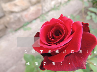 欠錢不還起訴后調(diào)解(欠錢不還起訴后調(diào)解還款日期到后)