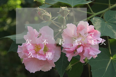 欠錢不還起訴后開庭(欠錢不還起訴后開庭怎么處理)