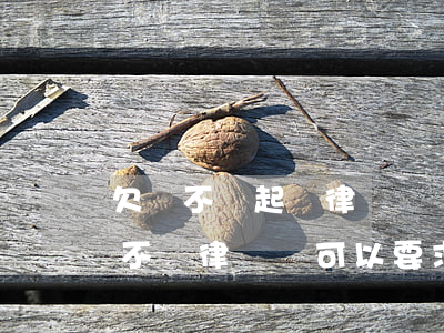 欠錢不還起訴律師費誰承擔(dān)(欠錢不還律師費可以要求被告承擔(dān)嗎)