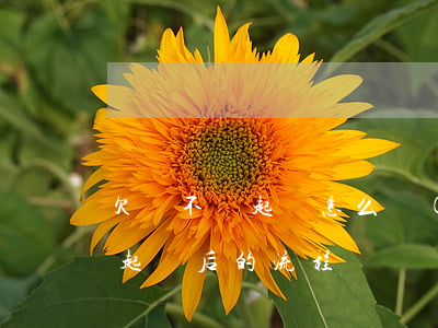 欠錢不還起訴怎么執(zhí)行(欠錢不還起訴后的流程)