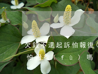 欠錢不還起訴怕報復(fù)(欠錢不還起訴怕報復(fù)嗎)