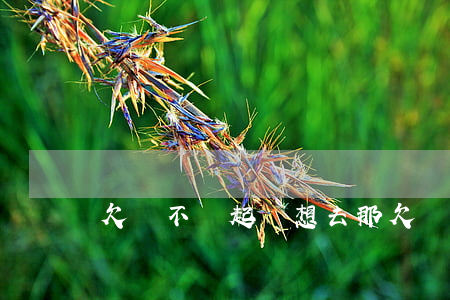 欠錢不還起訴想去那(欠錢不還起訴要去哪里)