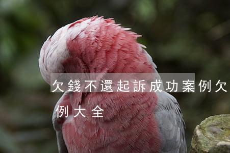 欠錢不還起訴成功案例 欠錢不還起訴成功案例大全