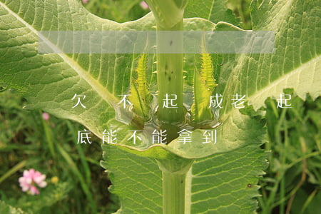 欠錢不還起訴成老賴(起訴欠錢不還的老賴到底能不能拿到錢)