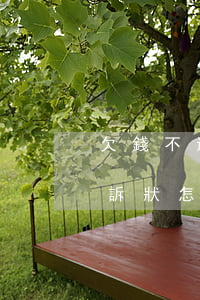 欠錢不還起訴書標題怎么寫(欠錢不還民事起訴狀怎么寫)