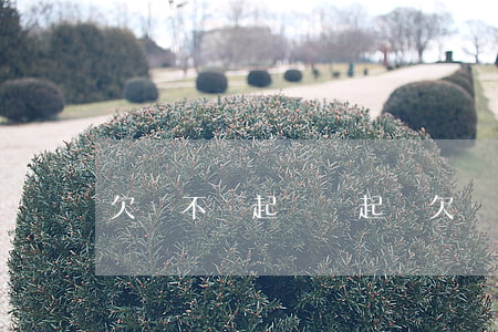 欠錢不還起訴書(起訴欠錢不還的起訴書模板)