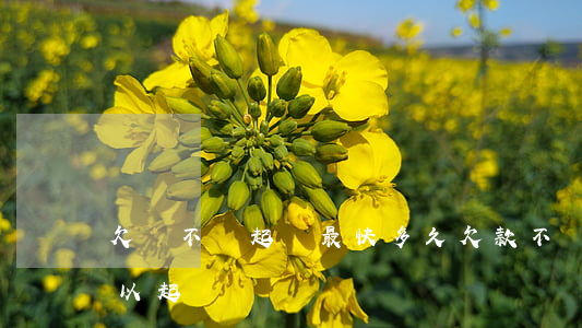 欠錢不還起訴最快多久(欠款不還多長時間可以起訴)