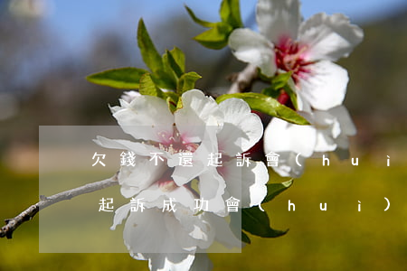 欠錢不還起訴會(huì)開庭嗎 欠錢不還起訴成功會(huì)有案底嗎