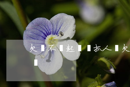 欠錢不還起訴會抓人嗎（欠錢不還起訴會抓人嗎）
