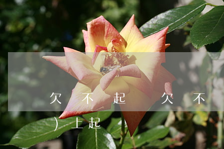 欠錢不還起訴會 欠錢不還怎么網(wǎng)上起訴