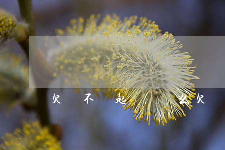 欠錢不還起訴會還么(欠錢不還起訴會失信嗎)