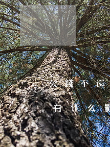 欠錢不還起訴有屁用-欠錢不還起訴后對他有什么影響