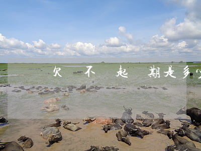 欠錢不還起訴期是多少(欠錢不還的起訴期)