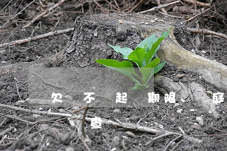 欠錢不還起訴期限、開庭及結(jié)案時間查詢