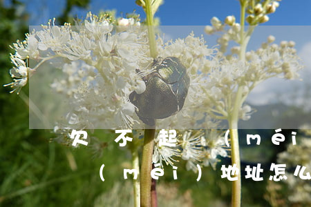 欠錢不還起訴沒(méi)有地址(起訴還錢沒(méi)地址怎么辦)